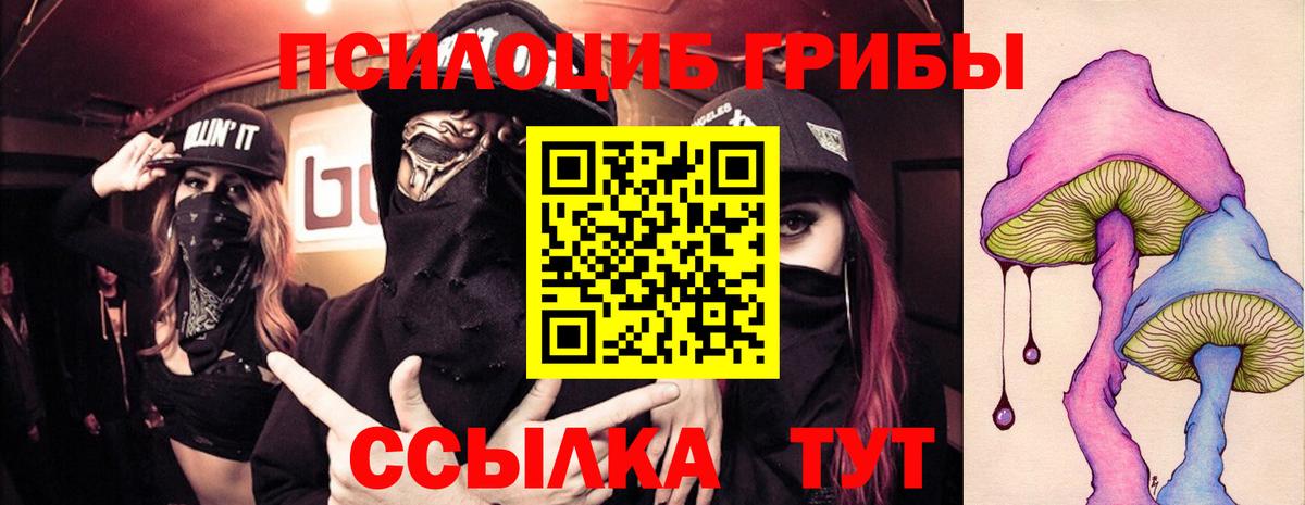 Псилоцибиновые грибы Magic Shrooms  Вход с VPN  Галлюциногенные грибы мицелий  Ступино 